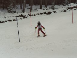 Hesselbach 2006